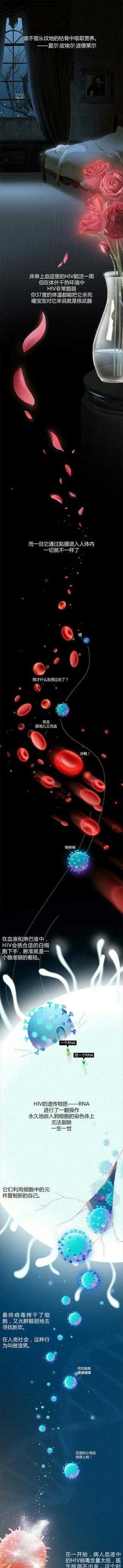 HIV病毒到底是哪里来的?628 / 作者:井底燕雀傥 / 帖子ID:56054