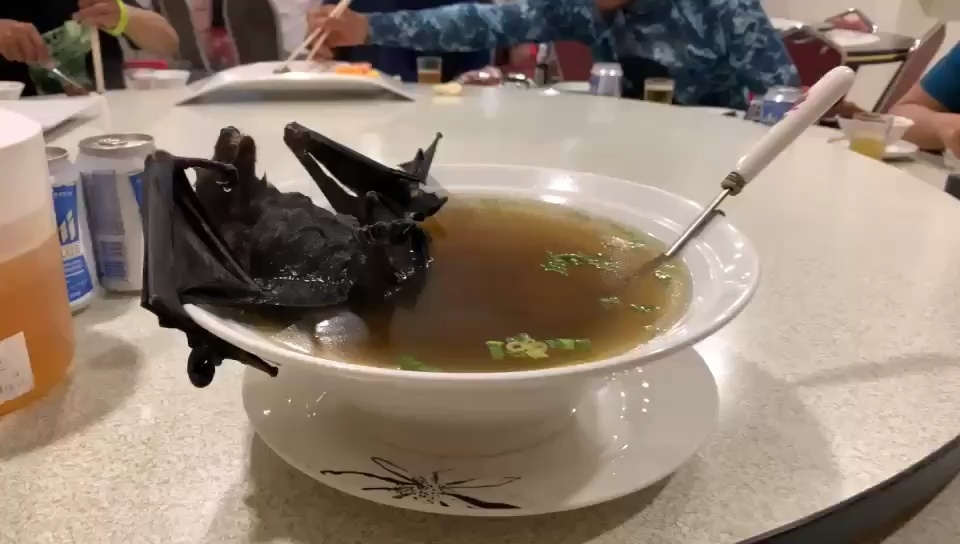 为什么吃野味会感染病毒?467 / 作者:郭光庆 / 帖子ID:56055