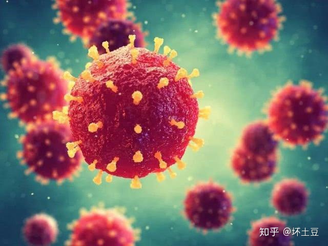 为什么说病毒没有特效药?57 / 作者:123457018 / 帖子ID:56063
