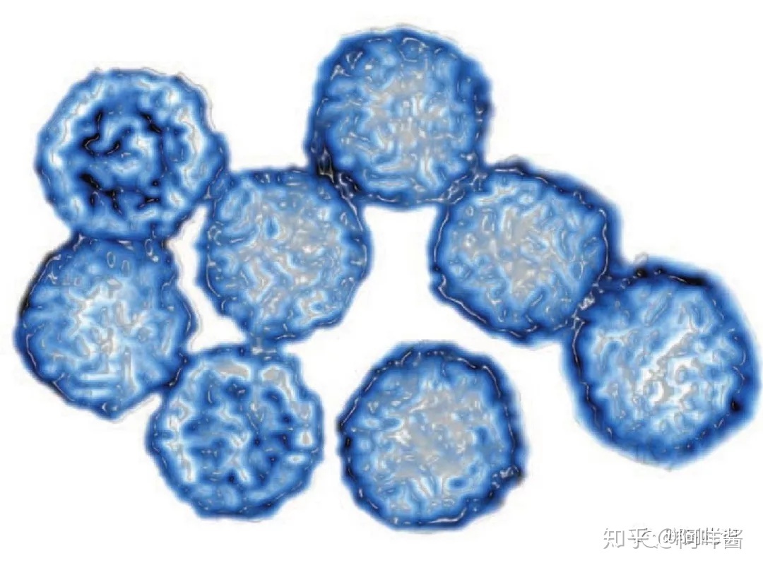 生物进化中，病毒存在至今有何意义？616 / 作者:xiexueqiao / 帖子ID:56064