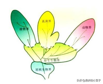 病毒是生命吗？怎么形成的？720 / 作者:今早我梦醒了坎 / 帖子ID:56066