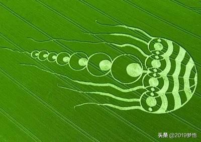 麦田怪圈是人为的吗？502 / 作者:inmyhome / 帖子ID:56101