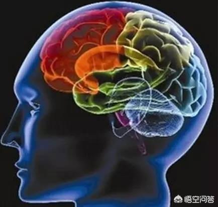 爱因斯坦说“有两种东西是无限的，宇宙和人类的愚蠢”，你承认吗？35 / 作者:十二音阶囤 / 帖子ID:56172