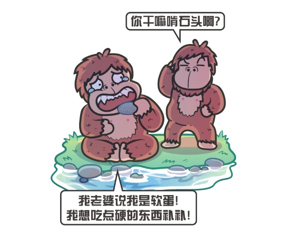 为什么上亿年的恐龙没有产生文明，两百万年的人类却产生了文明？852 / 作者:蜡烛2017 / 帖子ID:56203