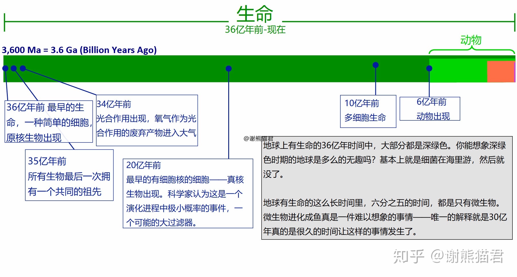 为什么上亿年的恐龙没有产生文明，两百万年的人类却产生了文明？710 / 作者:xdcf147 / 帖子ID:56203