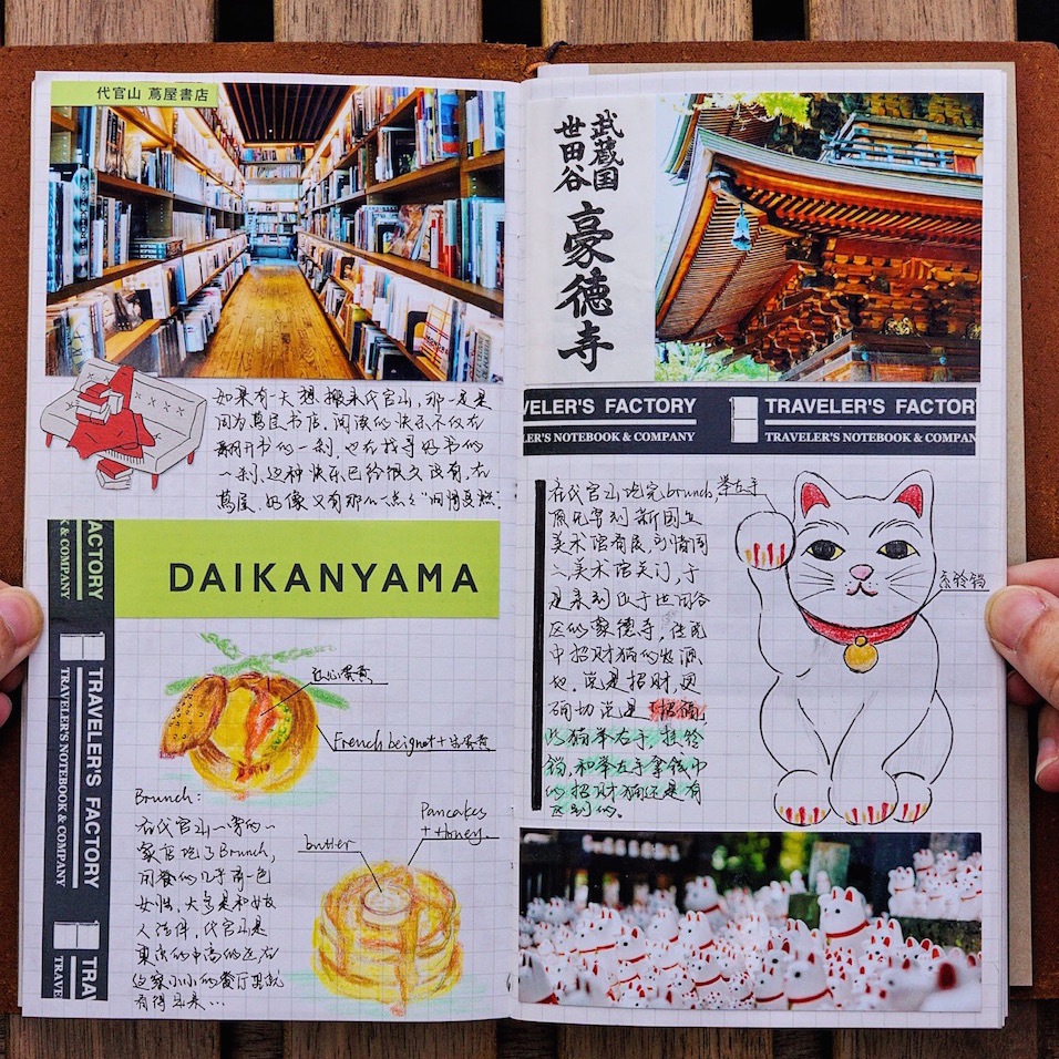 有哪些旅行的细节极大地提升了整个旅行体验？990 / 作者:茉莉707 / 帖子ID:56228