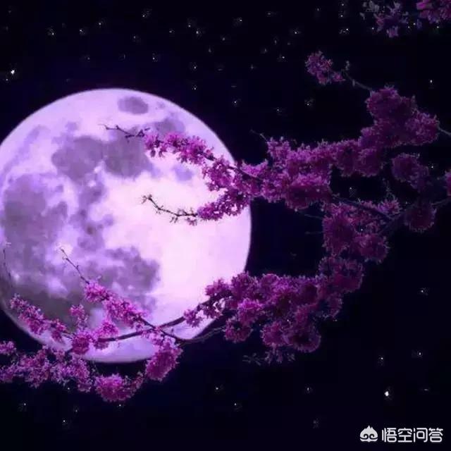 我们对地外生命星球探索的方式和判断真的正确吗？841 / 作者:123456914 / 帖子ID:56247