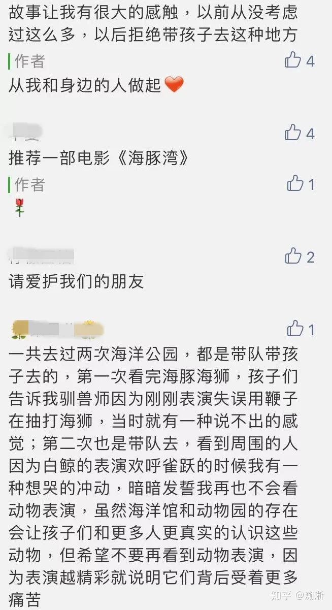 虎鲸为什么这么喜欢人类？有没有什么研究依据？361 / 作者:connie10591 / 帖子ID:56279