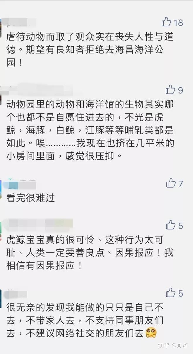 虎鲸为什么这么喜欢人类？有没有什么研究依据？241 / 作者:connie10591 / 帖子ID:56279