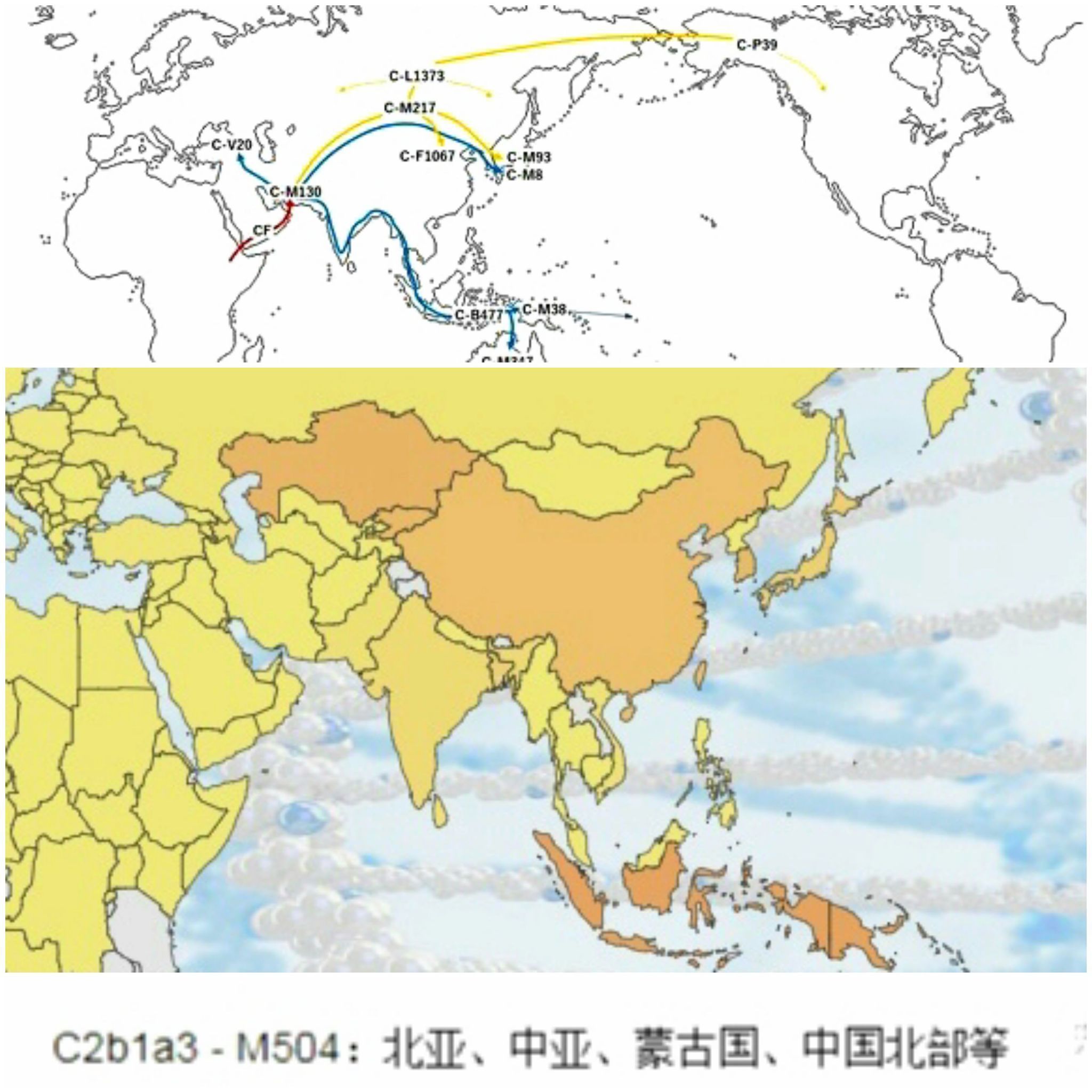 人类的文明起源116 / 作者:ejinjing / 帖子ID:56283