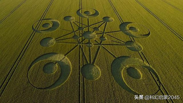麦田怪圈是怎么一回事？真的有外星人吗？889 / 作者:形腿望舞 / 帖子ID:56383