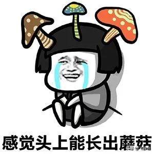 蝗虫会飞到中国吗？104 / 作者:忧伤428 / 帖子ID:56415