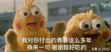 蝗虫会飞到中国吗？529 / 作者:忧伤428 / 帖子ID:56415