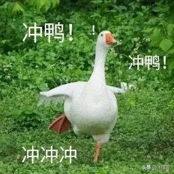 蝗虫会飞到中国吗？959 / 作者:忧伤428 / 帖子ID:56415