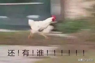 蝗虫会飞到中国吗？381 / 作者:忧伤428 / 帖子ID:56415