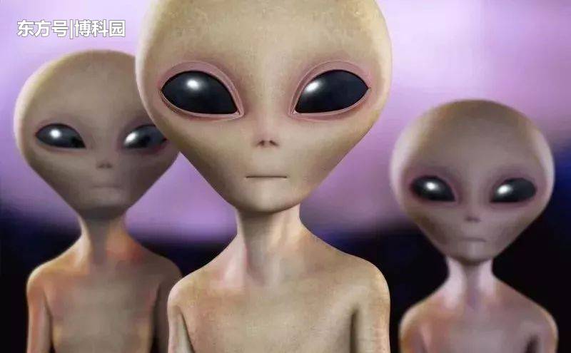 发现遥远星球上的外星人，或许是一场赌博？339 / 作者:迟到399 / 帖子ID:56432