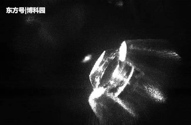 重磅突破！物理学家首次“抓住”单个原子，并发现未知相互作用！71 / 作者:babysuperman / 帖子ID:56437