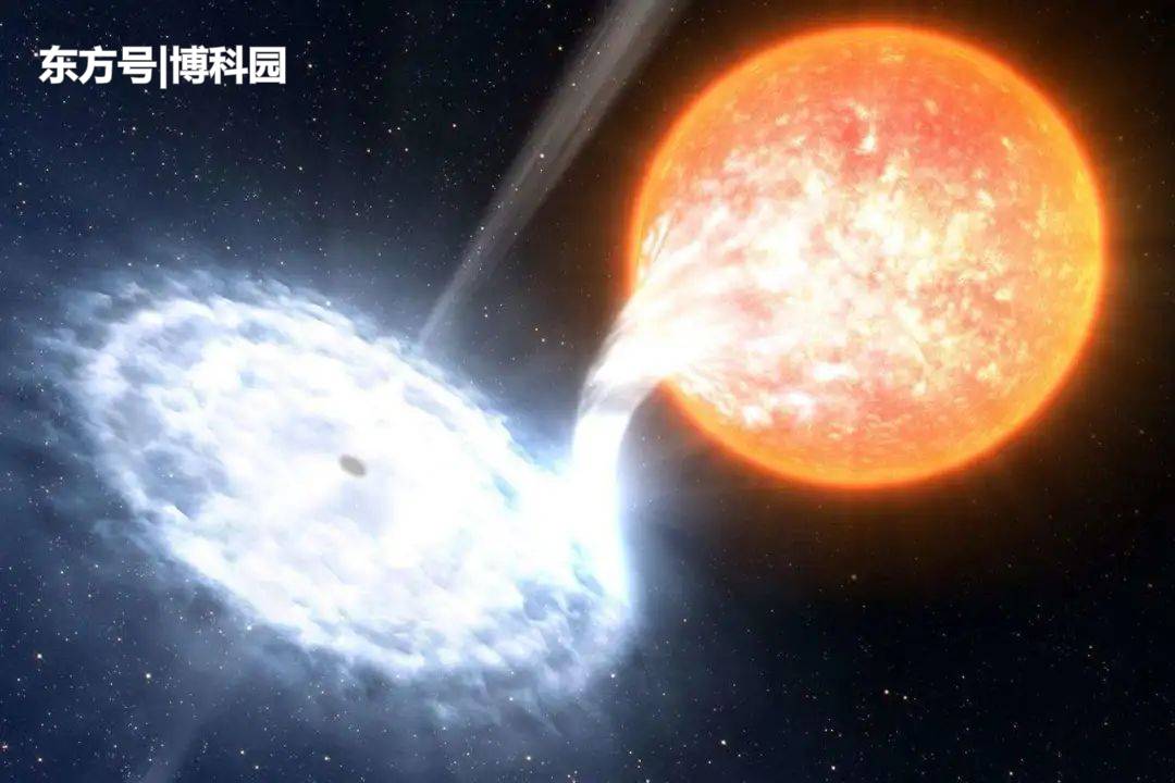 天文学家发现两颗双星白矮星，只有太阳质量的0.6和0.68倍353 / 作者:tgbrjbh / 帖子ID:56448