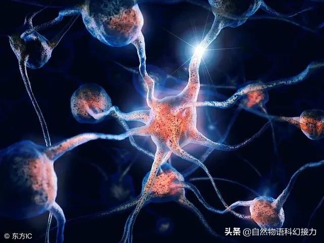 什么是暗物质？736 / 作者:150550 / 帖子ID:56463