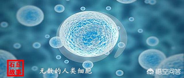 我们会不会是某个生物里的微生虫，地球只是个细胞？184 / 作者:lovedwy / 帖子ID:56483
