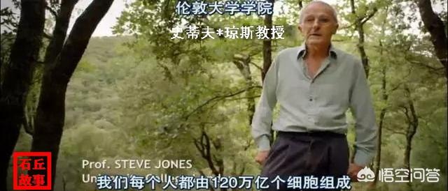 我们会不会是某个生物里的微生虫，地球只是个细胞？675 / 作者:lovedwy / 帖子ID:56483