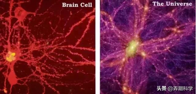 我们会不会是某个生物里的微生虫，地球只是个细胞？160 / 作者:62562001 / 帖子ID:56483