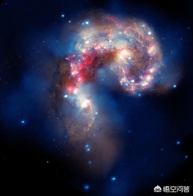我们会不会是某个生物里的微生虫，地球只是个细胞？913 / 作者:乔微博 / 帖子ID:56483