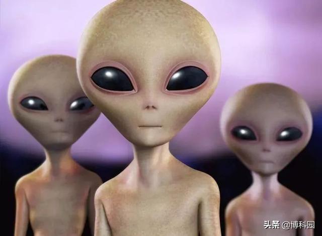 外星人不一定是人形，或许存在无形的外星人，甚至有硅基生命466 / 作者:宿命958 / 帖子ID:56498