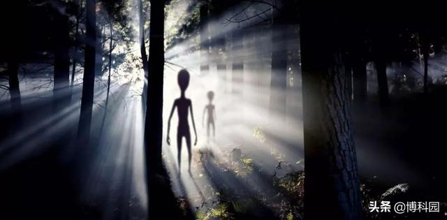 外星人不一定是人形，或许存在无形的外星人，甚至有硅基生命915 / 作者:宿命958 / 帖子ID:56498