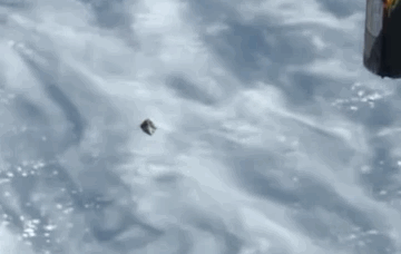 国际空间站遭UFO锁定 相伴飞行长达22分钟934 / 作者:常务管理员 / 帖子ID:56507
