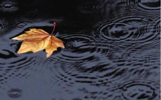 水面涟漪是如何形成的？简单的现象内藏大学问418 / 作者:掘金入眠刈 / 帖子ID:56518