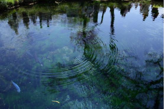 水面涟漪是如何形成的？简单的现象内藏大学问333 / 作者:掘金入眠刈 / 帖子ID:56518