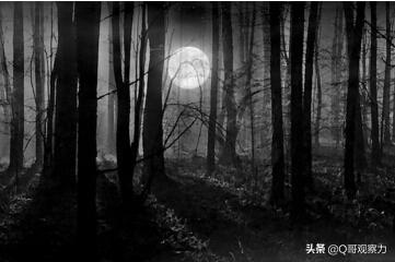 人类在宇宙中是孤独的吗？费米悖论作何解释？955 / 作者:万胜 / 帖子ID:56529