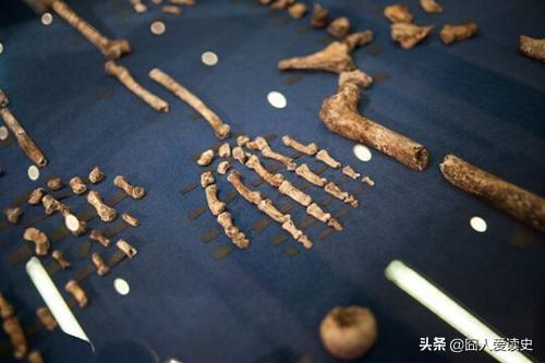 人类的起源之谜你了解多少？进化论仍存在着种种无法解释的疑团？126 / 作者:qfwoshiyu / 帖子ID:56545