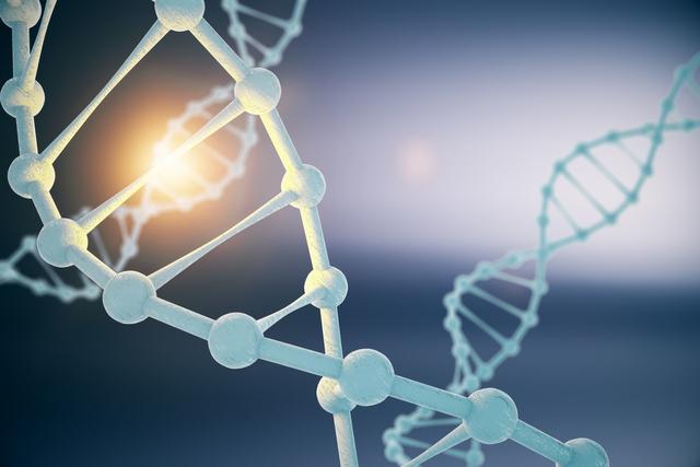 我们从哪里来？基因科学已经为我们揭秘了人类起源背后的真相800 / 作者:Aim_yuan / 帖子ID:56548