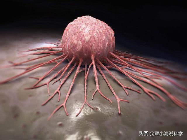 为什么我们发现不了外星人？费米悖论主要说的又是什么？753 / 作者:123456819 / 帖子ID:56563
