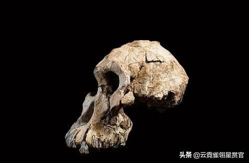 科学家在地下山洞发现2具古猿化石，意外揭开人类起源之谜329 / 作者:我放心你带套猛 / 帖子ID:56627
