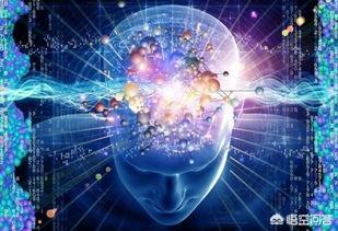 宇宙、世界、物质、意识，哪一个概念大？341 / 作者:ADUPREce / 帖子ID:56688