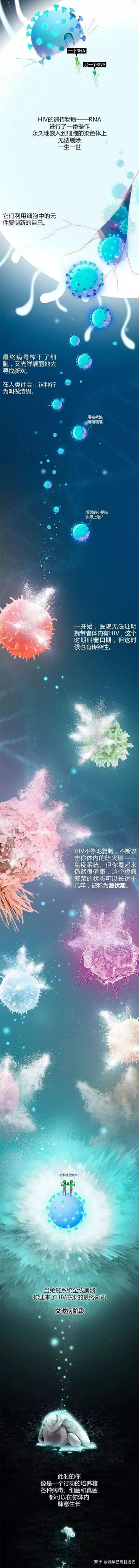 艾滋病的起源是怎样的?427 / 作者:buffona / 帖子ID:56724