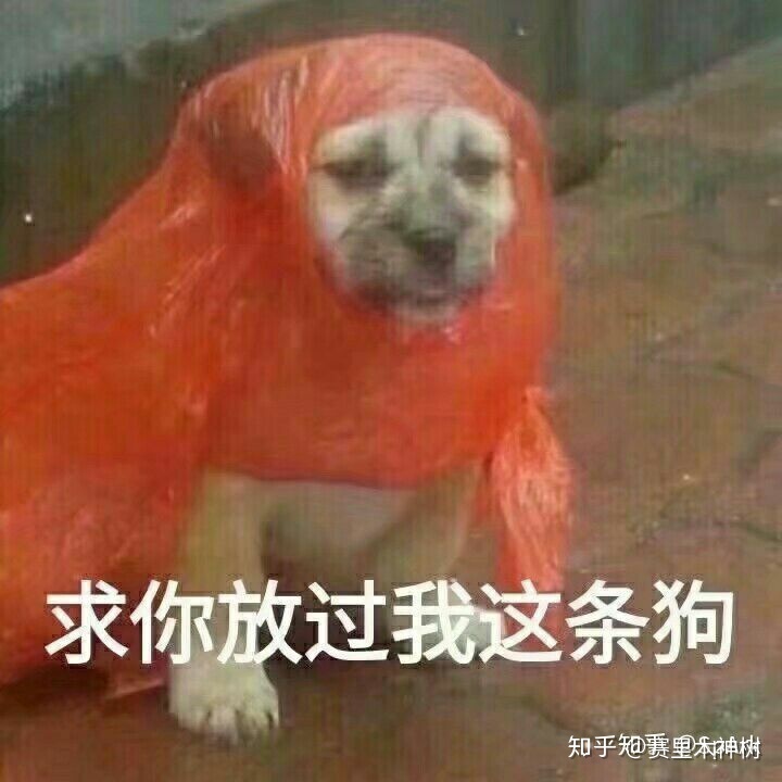 如果人类，在宇宙发现一个比自己低等的星球，我们会怎么做？71 / 作者:wxj_300 / 帖子ID:56730