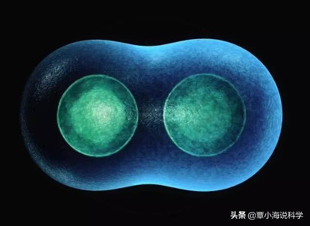 宇宙有没有可能是一个巨大生命体，引力就是它的“生命活动”？278 / 作者:芊芊551 / 帖子ID:56779