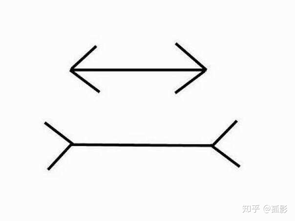 人类的起源是演化而来，还是外星人创造，还是虚拟地球说？639 / 作者:找食的麻雀粮 / 帖子ID:57031