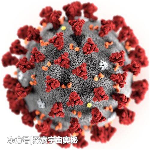蝙蝠携带致命病毒却不生病，究竟是为什么？70 / 作者:无将大车 / 帖子ID:57128