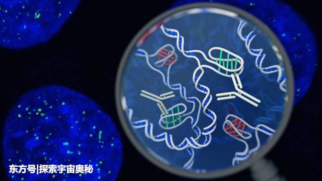 蝙蝠携带致命病毒却不生病，究竟是为什么？477 / 作者:无将大车 / 帖子ID:57128