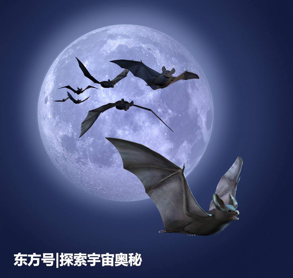 蝙蝠携带致命病毒却不生病，究竟是为什么？321 / 作者:无将大车 / 帖子ID:57128