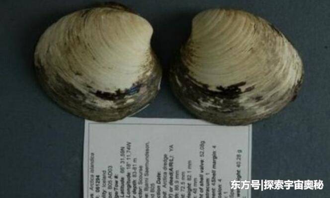 它才是动物界的寿星之王，已活了405年，长寿原因仍是谜51 / 作者:我是的十八簿 / 帖子ID:57132