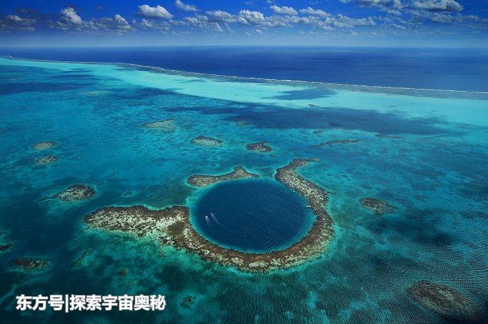 美国西海岸出现大量海鸥，它们像是排队吃东西，到底在吃什么？392 / 作者:郭光庆 / 帖子ID:57133