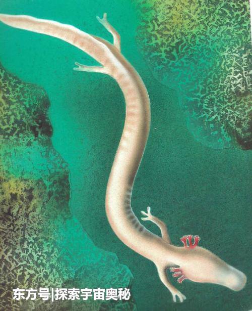 7年不进食依然能存活！这一生物超乎大家想象，其生存方式成谜382 / 作者:13633808 / 帖子ID:57136