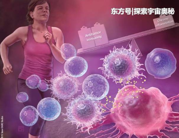 地球内部出现2个巨物，面积比大陆还大，疑似底部世界85 / 作者:disconnect / 帖子ID:57141