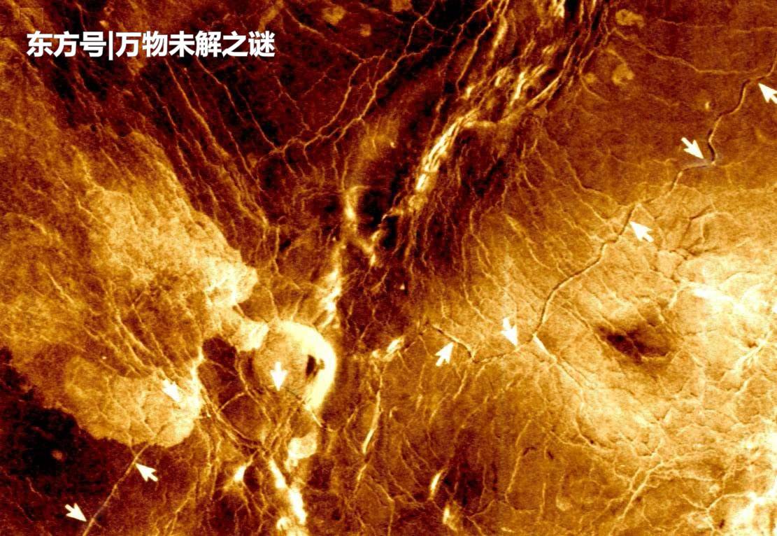 人类为什么不选择探索金星？金星上有啥秘密？45 / 作者:a四四 / 帖子ID:57147